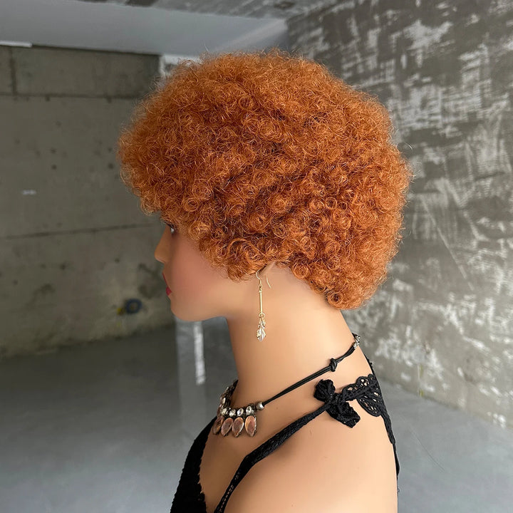 Short Afro Kinky Curly Wigs For Women Human Hair Brazilian