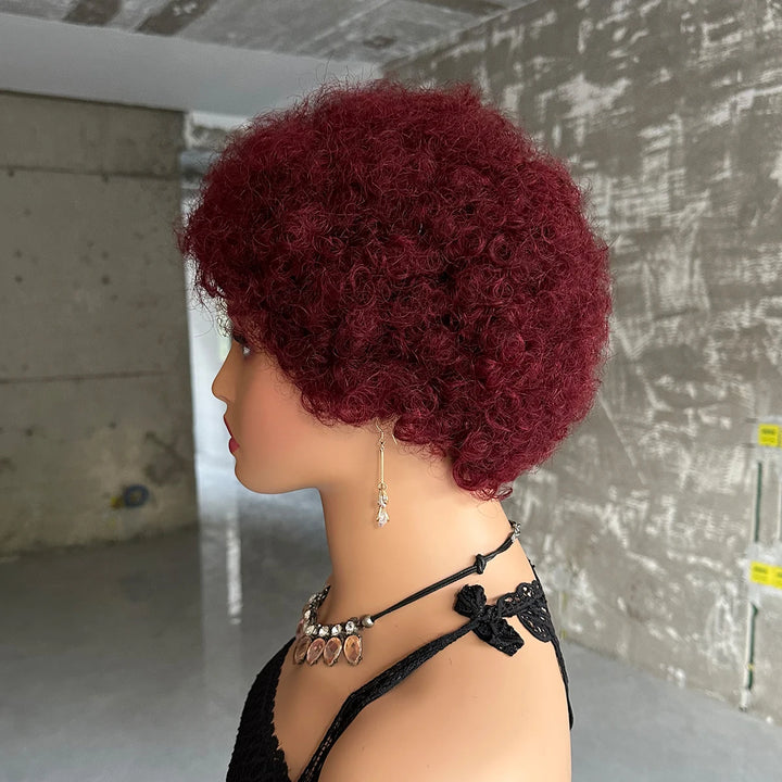 Short Afro Kinky Curly Wigs For Women Human Hair Brazilian