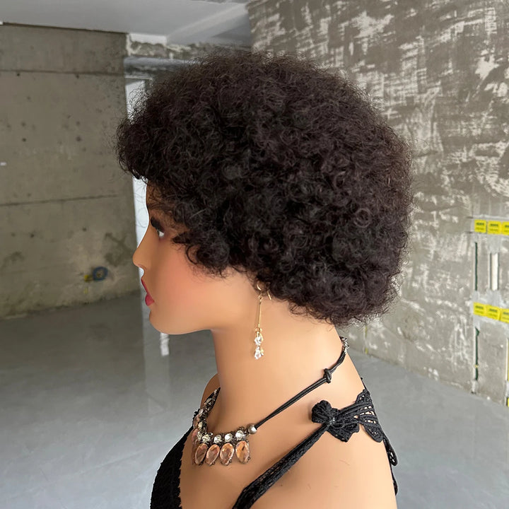 Short Afro Kinky Curly Wigs For Women Human Hair Brazilian