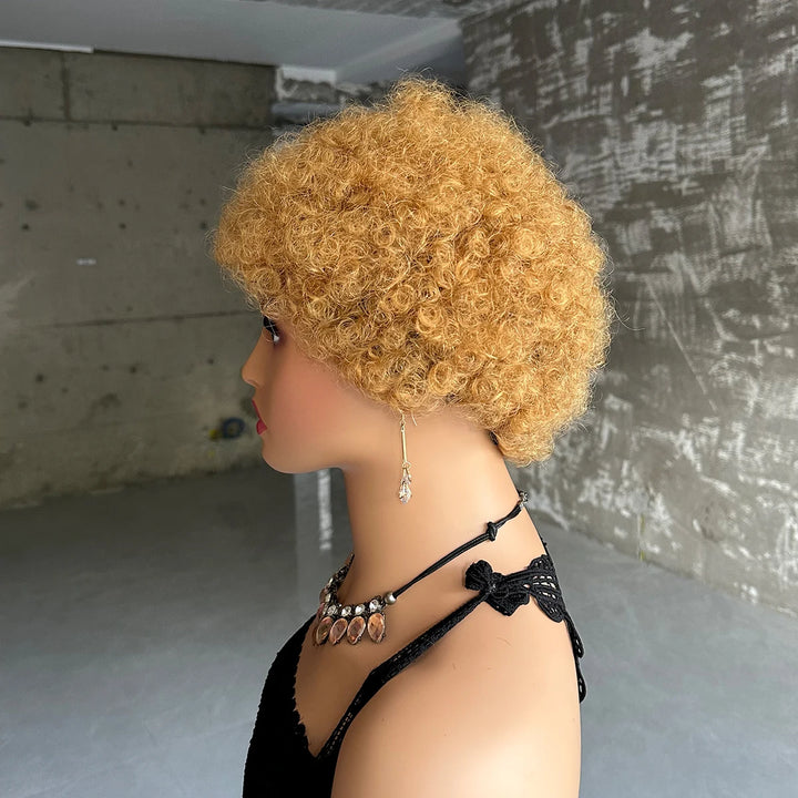 Short Afro Kinky Curly Wigs For Women Human Hair Brazilian